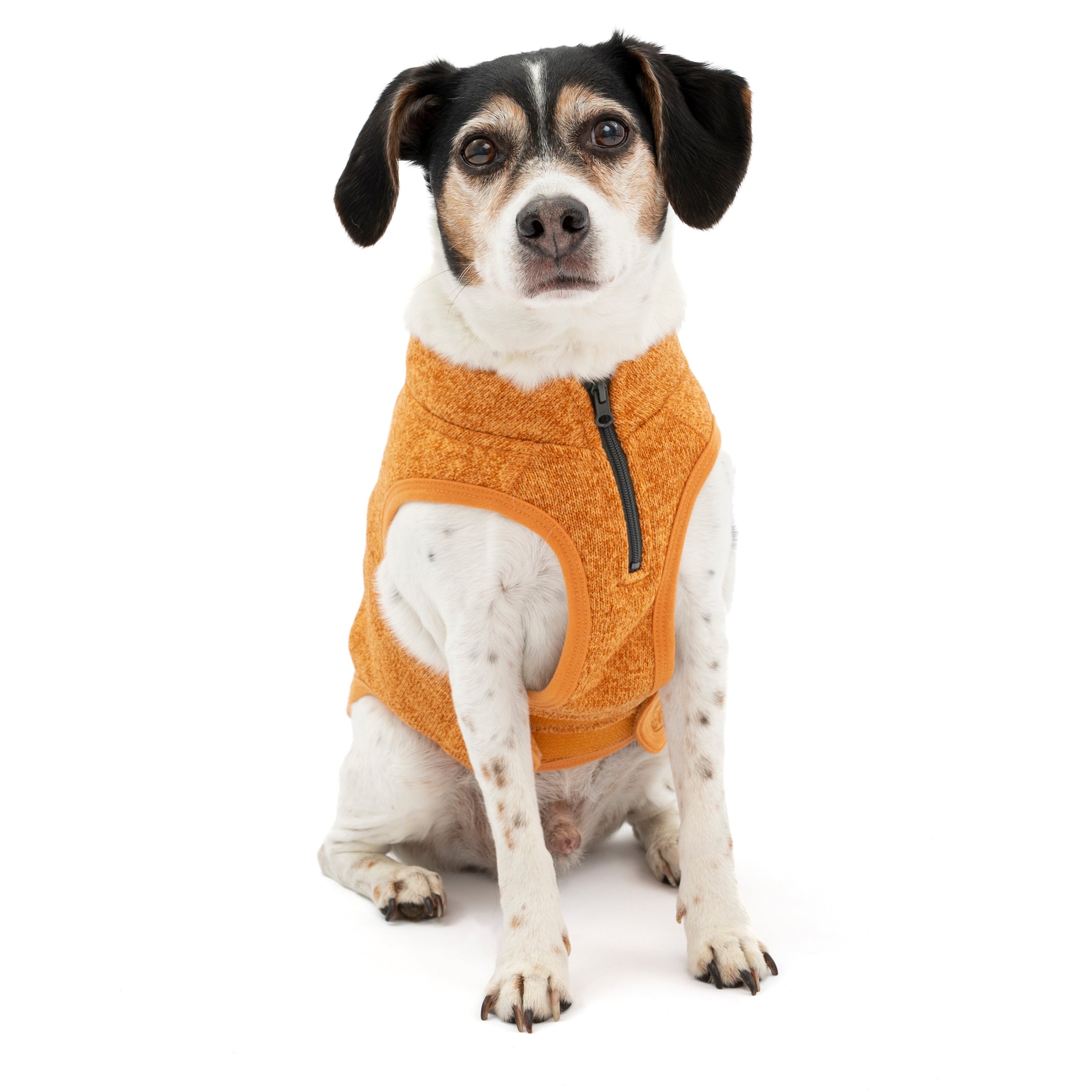 Recovery Suit for Dogs After Surgery, Recovery Shirt for Male Female Dog  Cats, Cone Alternative Abdominal Wounds Bandages, Anti-Licking Pet Surgical  Recovery Snuggly Suit - Walmart.com