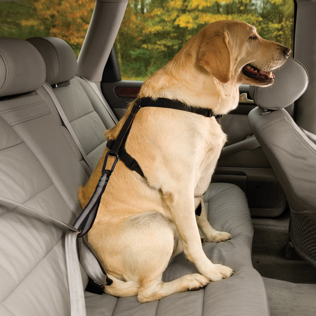 Tru-Fit Smart Dog Seat Belt Harness with Seatbelt Tether – Pet