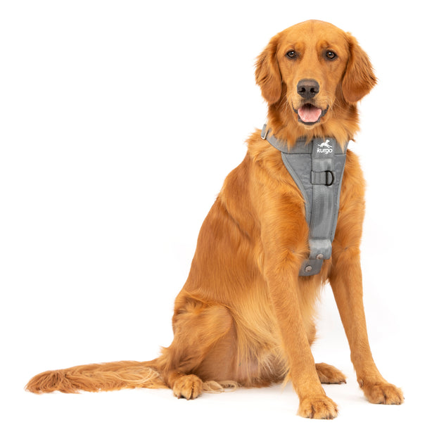 Kurgo Dog Harness | Pet Walking Harness | No Pull Harness Front Clip  Feature for Training Included | Car Seat Belt | Tru-Fit Quick Release Style  