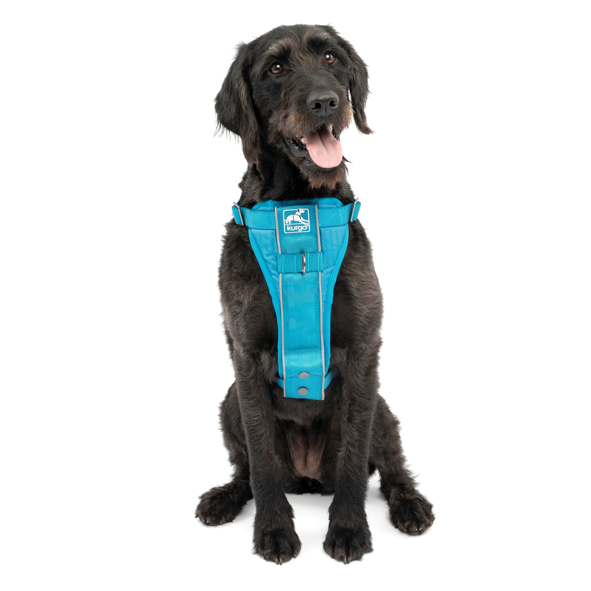 Kurgo Tru-Fit Smart Dog Walking Harness - Black - M