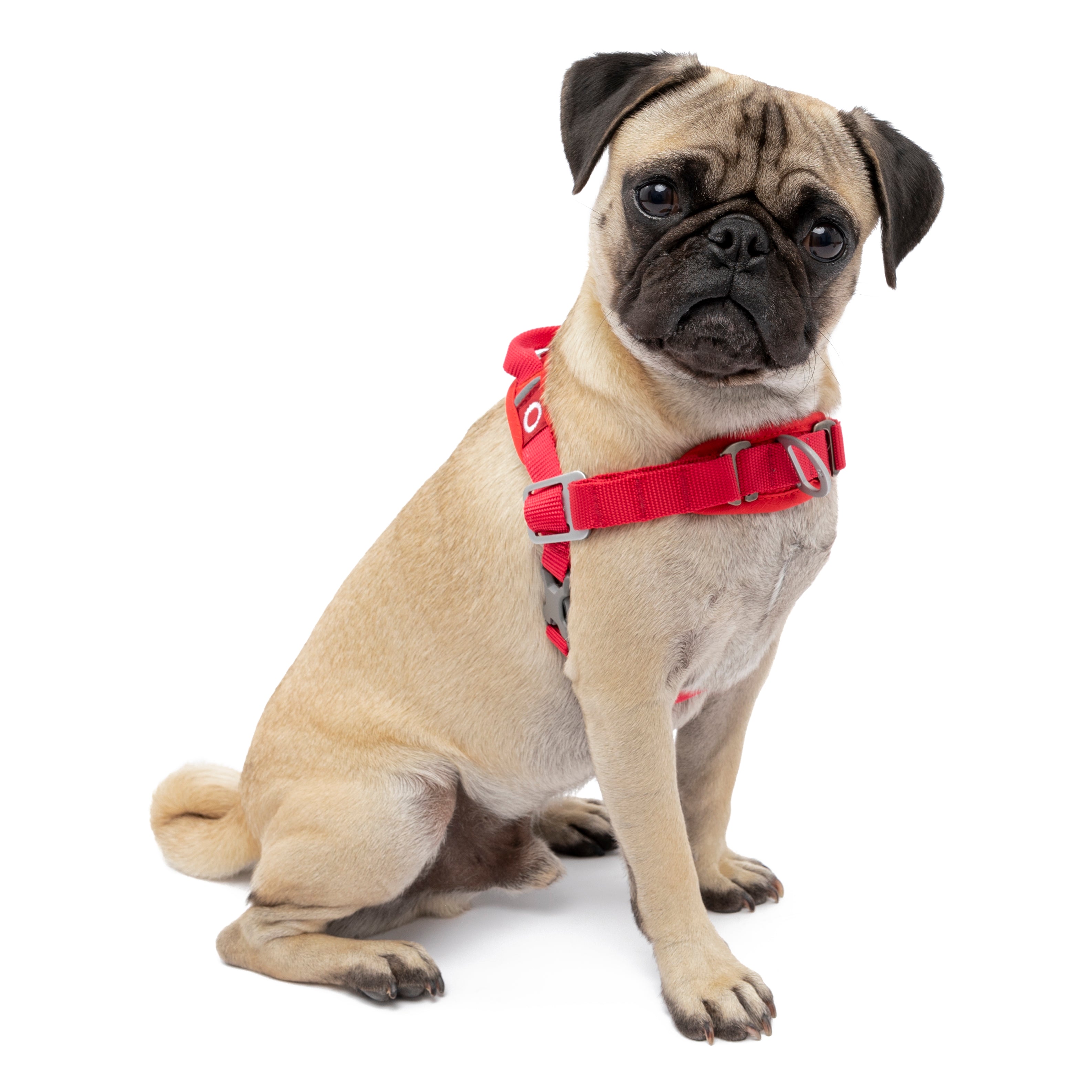 lv choke free dog harness for small dogs