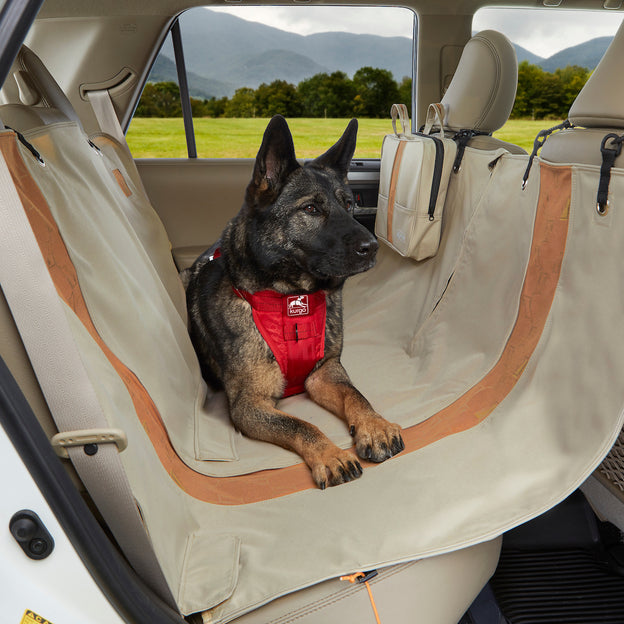 Pet Seat Cover Back Car Seat Cover Seat Covers for Car Car -  Canada