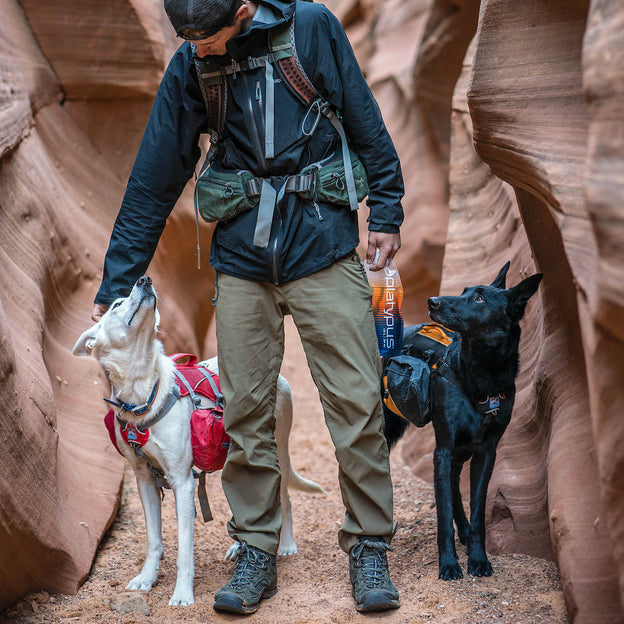 Kurgo Baxter Dog Backpack Reviewed - LetsTalkSurvival