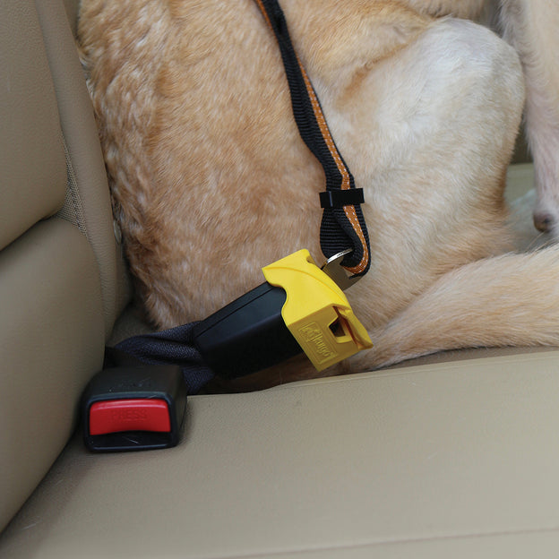 Kurgo Dog Buckle Barrier | Secure Seat Belts