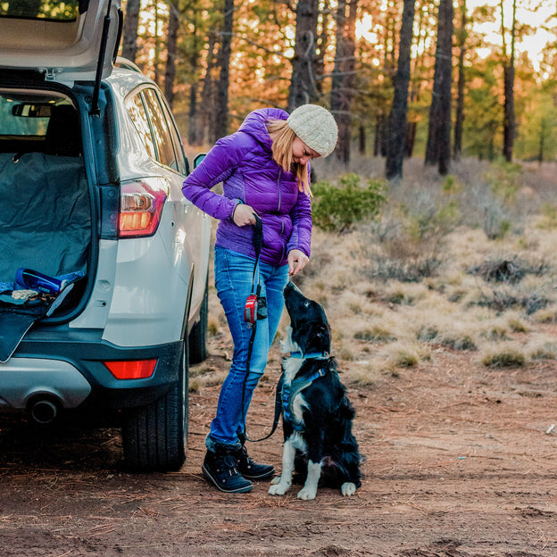 Dog Poop Bag  Kurgo Duty Bag Dispenser