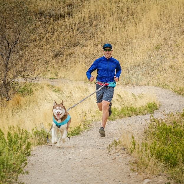 Parelachtig Pittig zoet Canicross Running Belt | Run & Ski with Your Dog