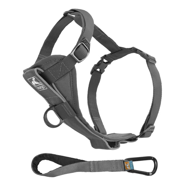 Tru-Fit Smart Dog Walking Harness