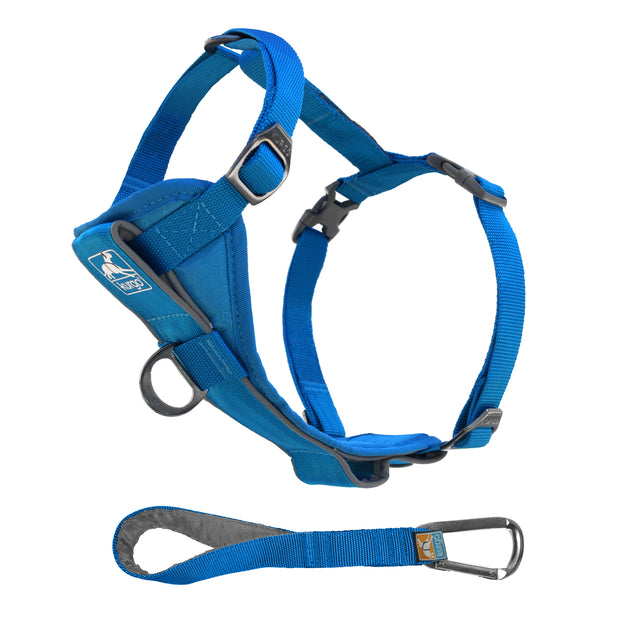 Reflective Belt for Coat Dog Walker Gift. Dog Walking Belt. 