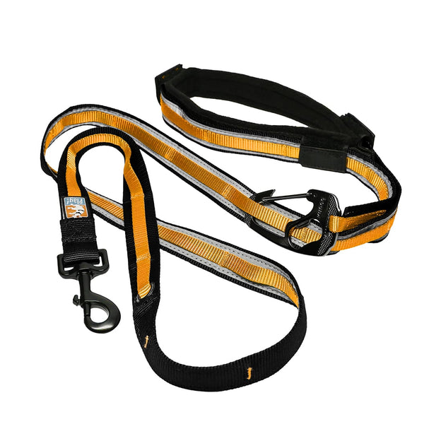 Yellow Off-White Inspired Dog Collar and Leash Set