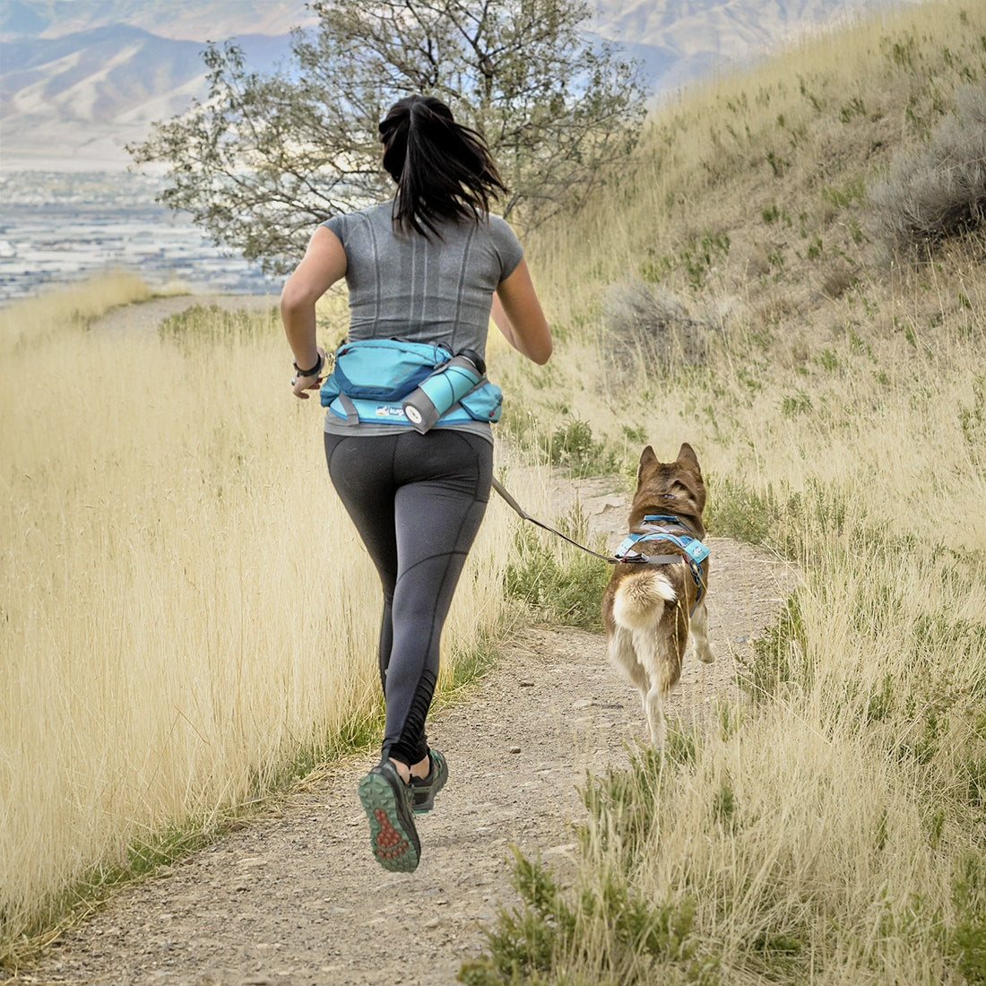Parelachtig Pittig zoet Canicross Running Belt | Run & Ski with Your Dog
