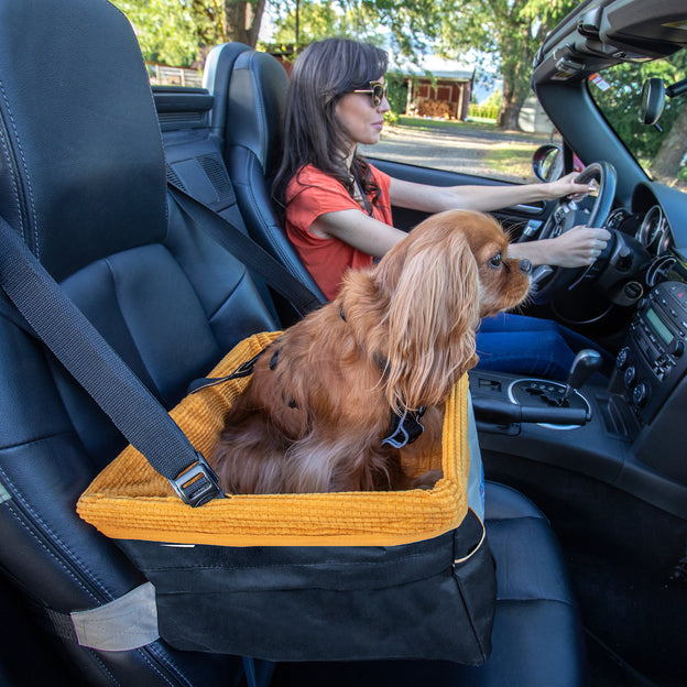 Kurgo - Dog Booster Seat - Dog Car Safety