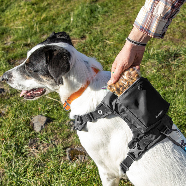 RTX Reflective Dog Backpack Harness