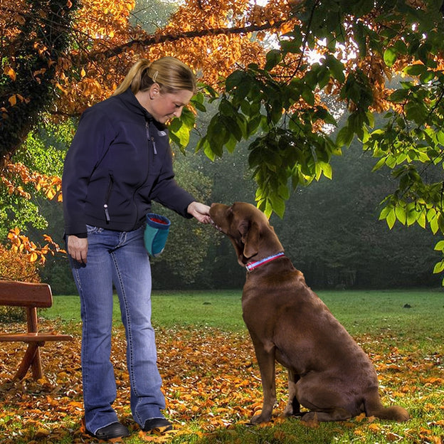 Go Stuff It Dog Treat Bag