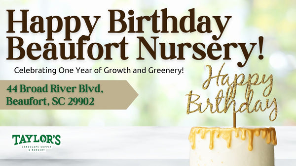 Taylor's Nursery in Beaufort Celebrates 1 Year