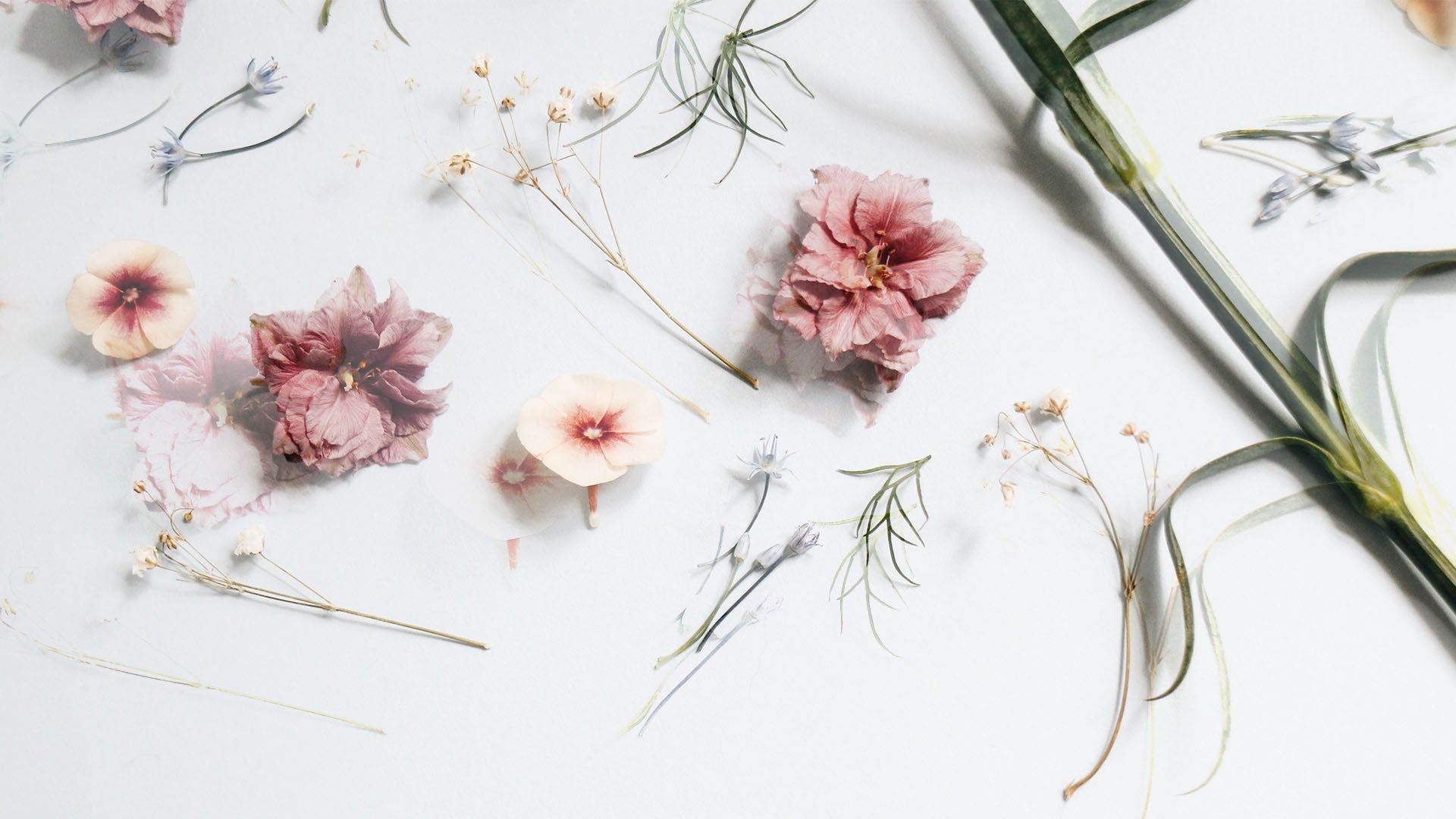 The Art of Scent-Scaping Candles | Home Fragrance Florals