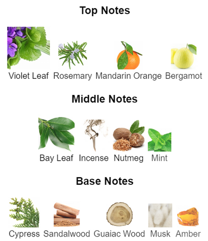 Fragrance Notes