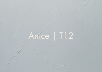 Artistic-Color-Fresco-Anice-T12