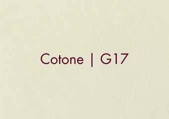 Artistic Color Seta Cotone G17