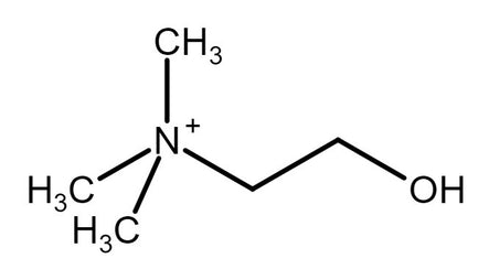 Choline_cation-.jpg__PID:8d7a1ce7-a3ca-421e-9c3e-5f8c85624d93