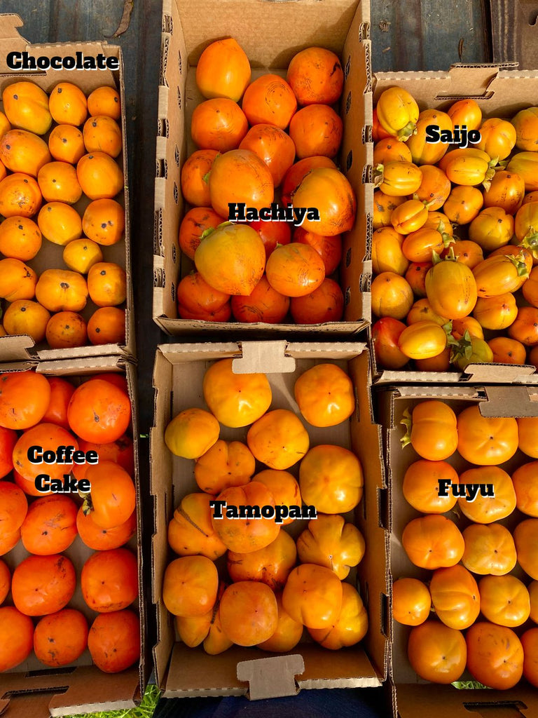 Six varieties of persimmons in boxes