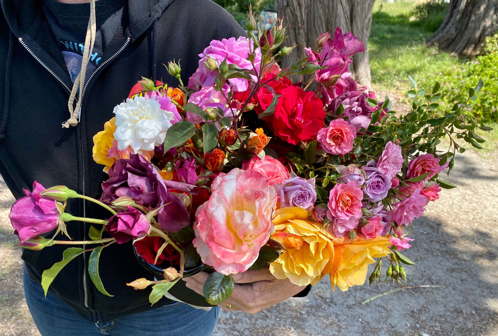 you pick roses customer bucket