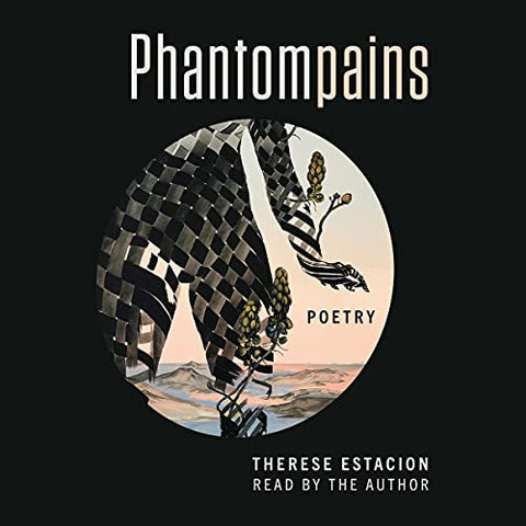 Book cover of Phantompains