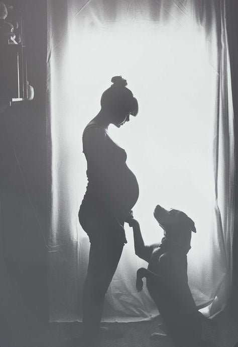 Unveiling Maternal Elegance: Studio Maternity Silhouette Photography that  will never date. - Howe Studios