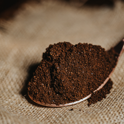 organic coffee powder india