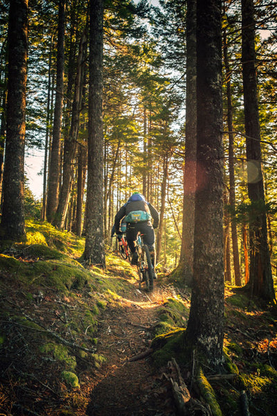 Climbing Trail on ebike