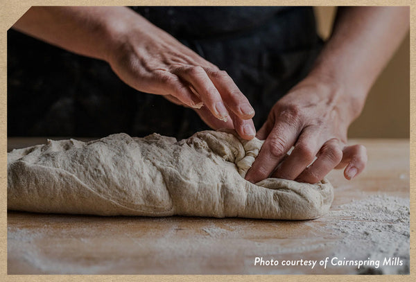 Pizza dough