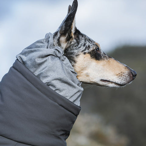 HURTTA Razzle-Dazzle Grip Leine – ACTIVEDOG - Für Outdoor-Hunde!