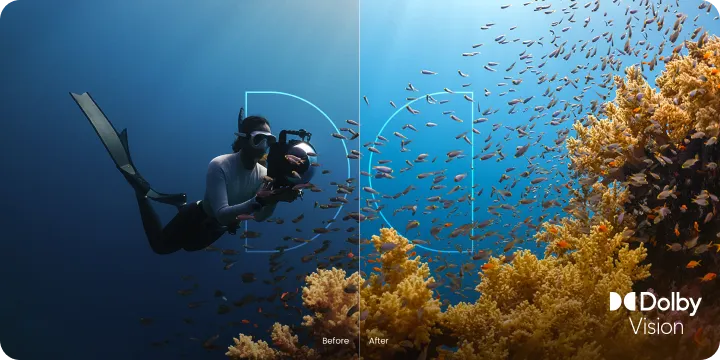 Dolby Vision
