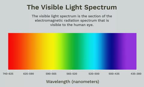 The visible light spectrum