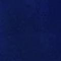 Navy Velvet