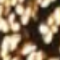 Gold Sequin