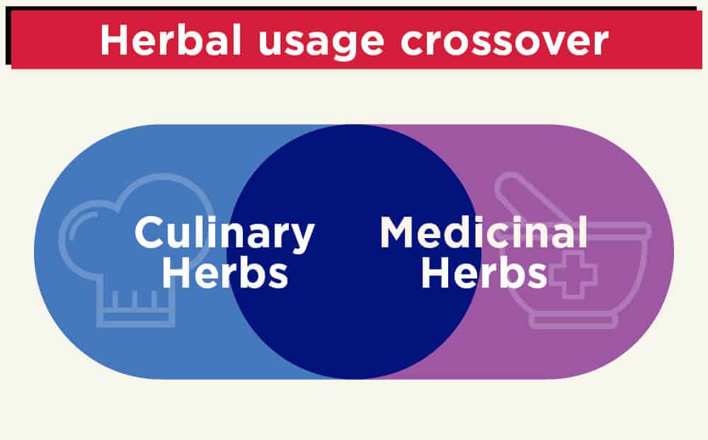 Herbal usage crossover between Culinary and Medicinal herbs