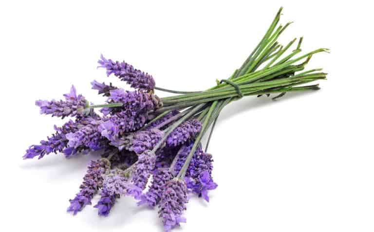 How can essential oils boost your mood? 4