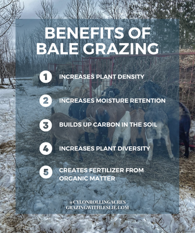 benefits of bale grazing list