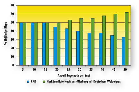 Barenbrug RPR Lawn - Das beste aus zwei Welten