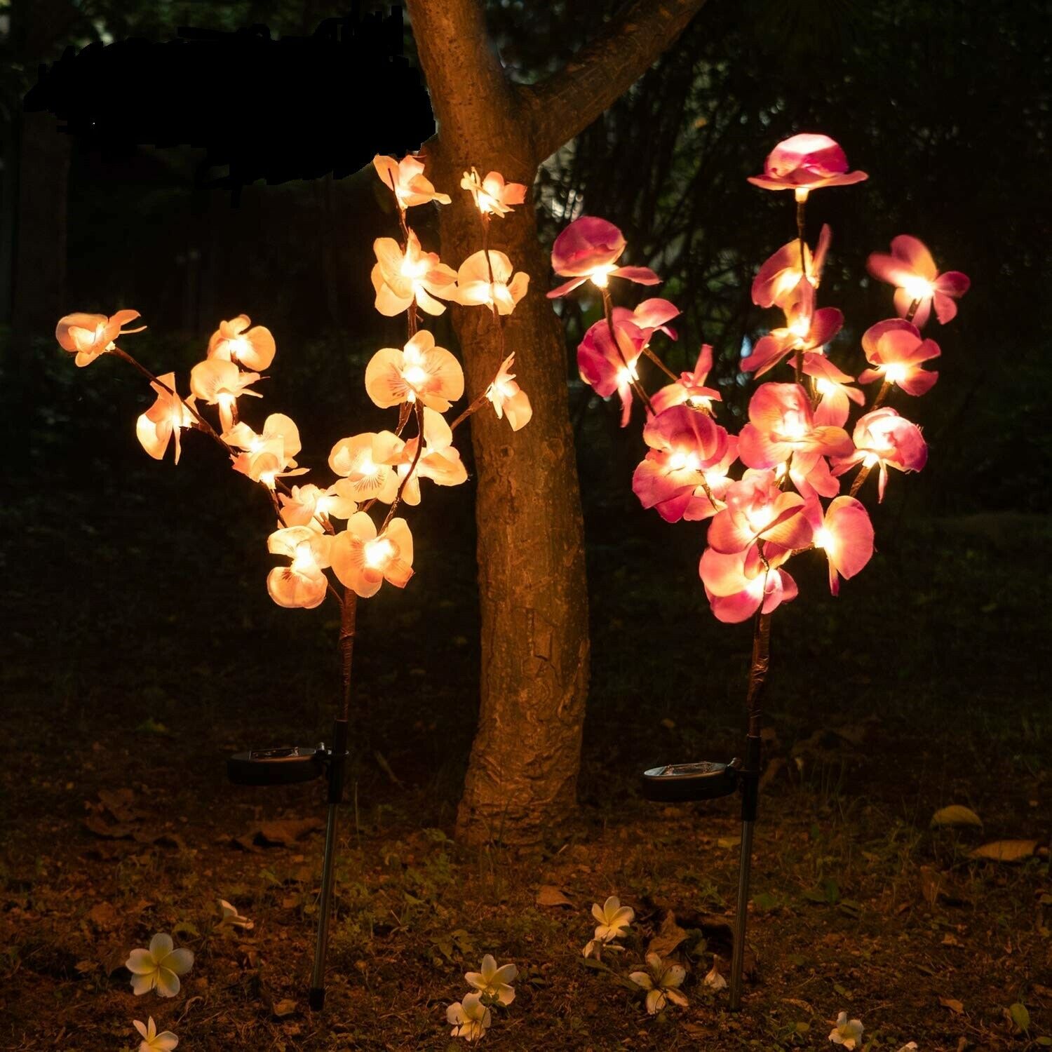 orchid solar lights