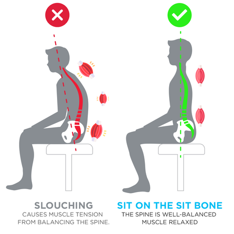 How to sit the right way to avoid back and neck pain: Beginners guide -  Workhorse Saddle Chair