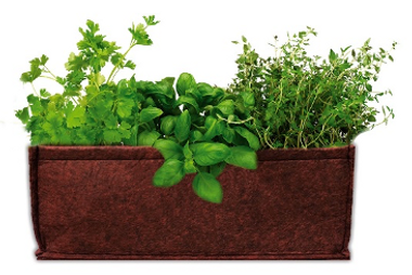 Discover Grow Bags: An Alternative Plant Container