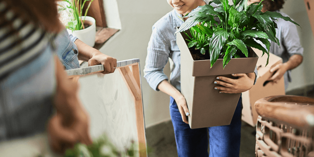 Container Gardening