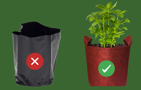 disadvantages-of-plastic-grow-bags