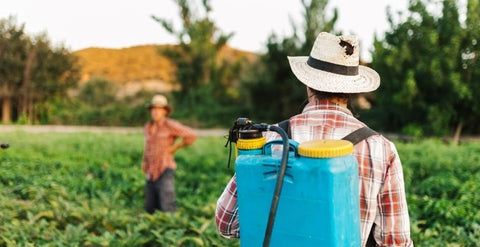 gardening kits for kids