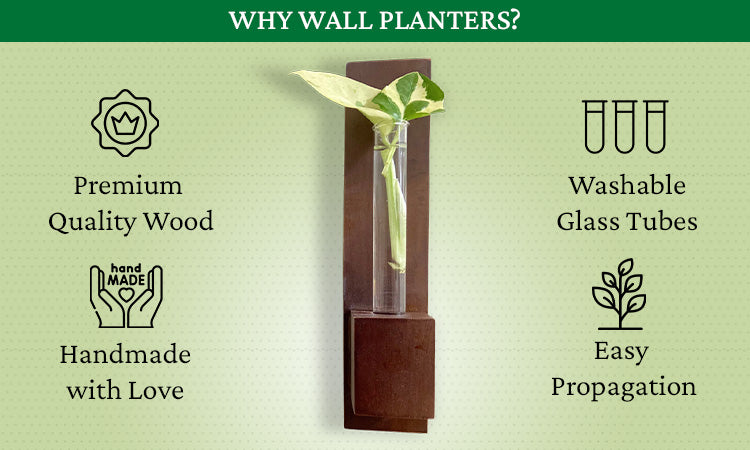 Benefits of Planters