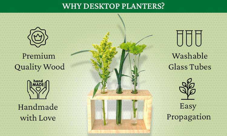 Benefits of Planters