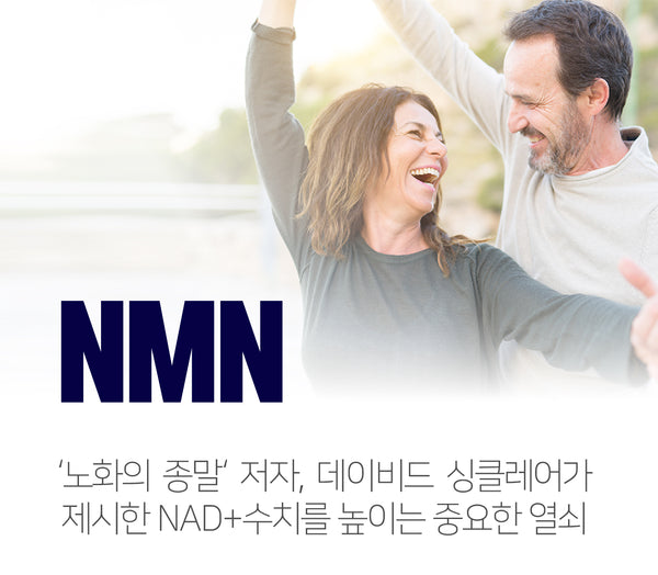 노화의 종말 NMN