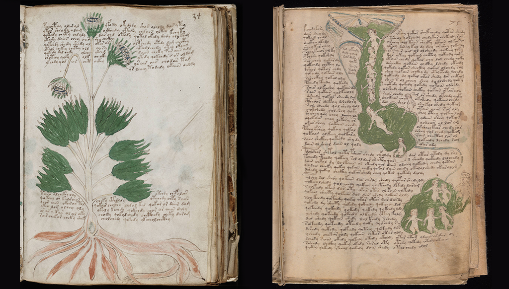 A Voynich-kézirat fotója