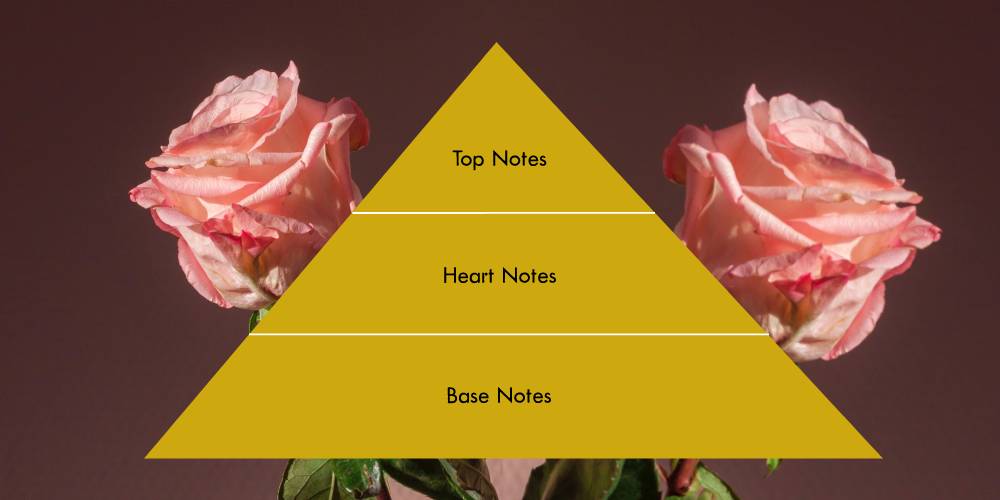 Perfume notes - Pyramid